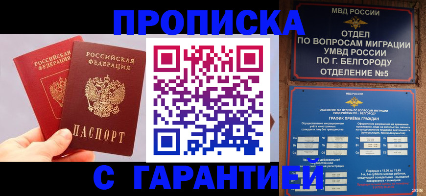 прописка 2025 в Шали